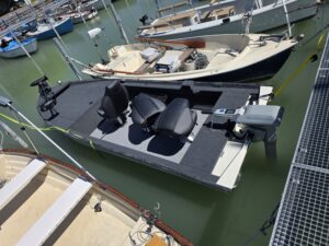 Zander Craft Epropulsion Navy 3.0, Minn Kota Terrova